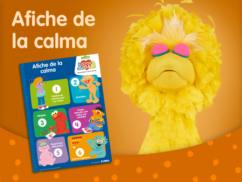 img afiche de la calma