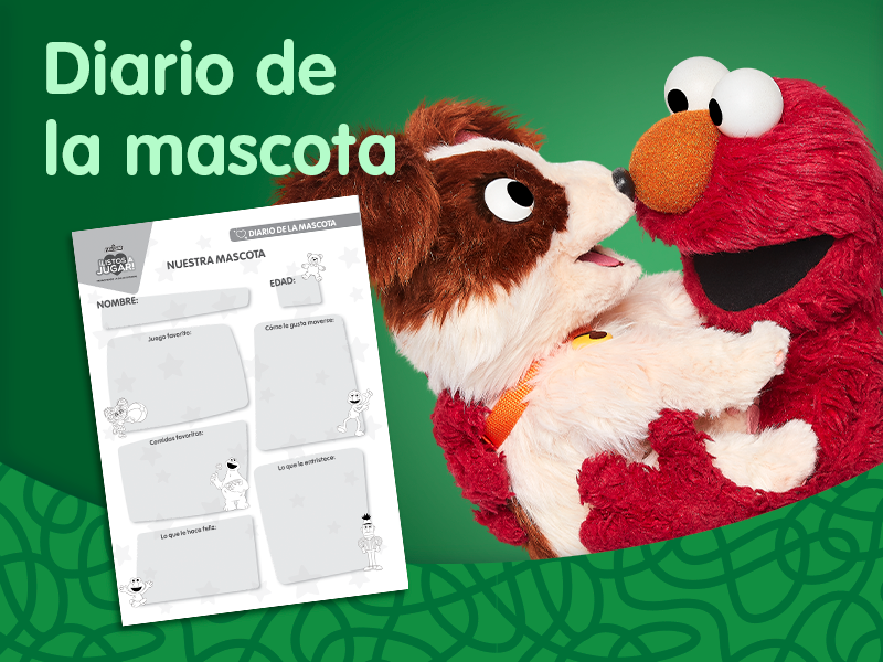 img diario mascotas