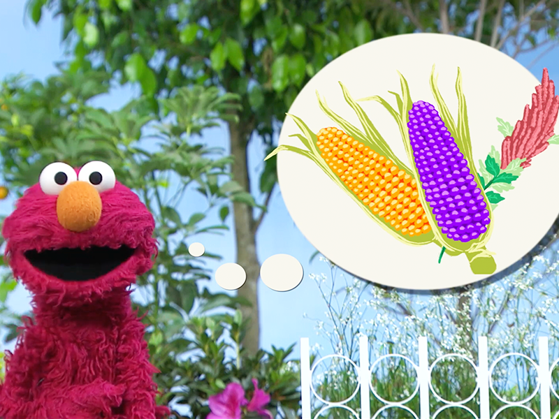  El origen de los alimentos