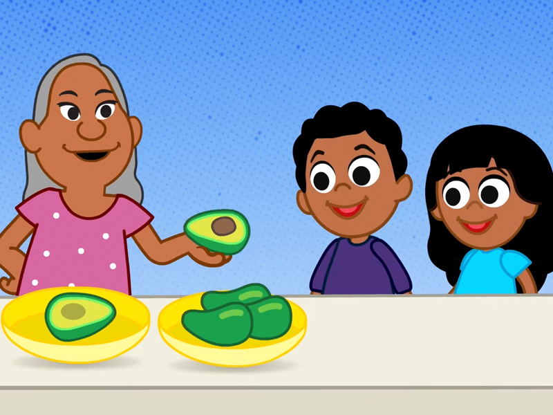 Alimentação equilibrada